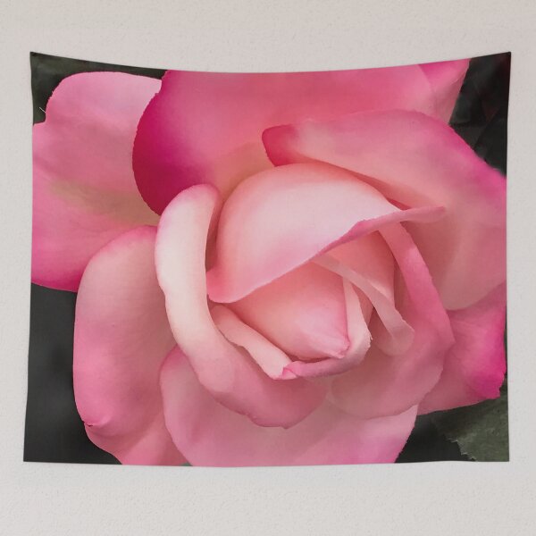 Item preview, Foto de arte encantador de rosa rosa pastel designed and sold by DEC02.