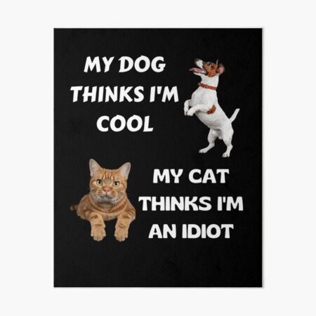 Dog thinks I'm cool, Cat thinks I'm an idiot
