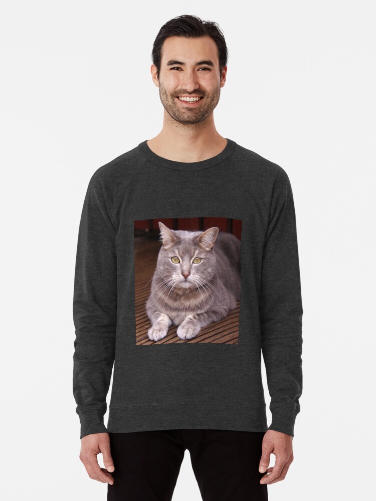 cat looking sweatshirt