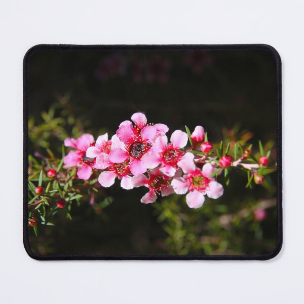 Item preview, Pink Manuka Flowers designed and sold by ppddesigns.