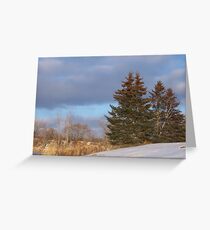 Winter Trees Greeting Card