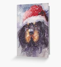 my gordon setter Greeting Card