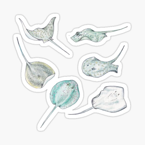 Ink and Watercolor Sting Rays Ocean Sticker