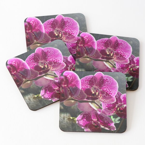 Item preview, The best of orchid designed and sold by agnessa38.