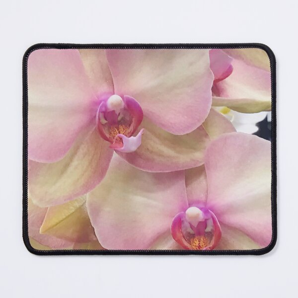 Item preview, Ivory-White And Pink Orchid Flowers Art Photo designed and sold by DEC02.