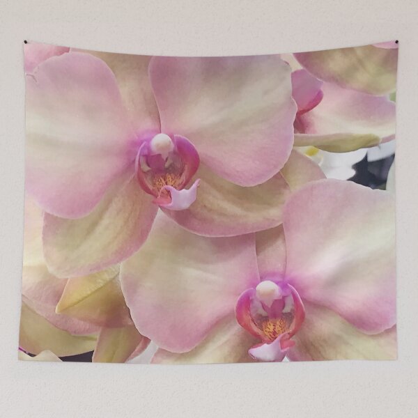 Item preview, Ivory-White And Pink Orchid Flowers Art Photo designed and sold by DEC02.