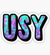 USY Sticker
