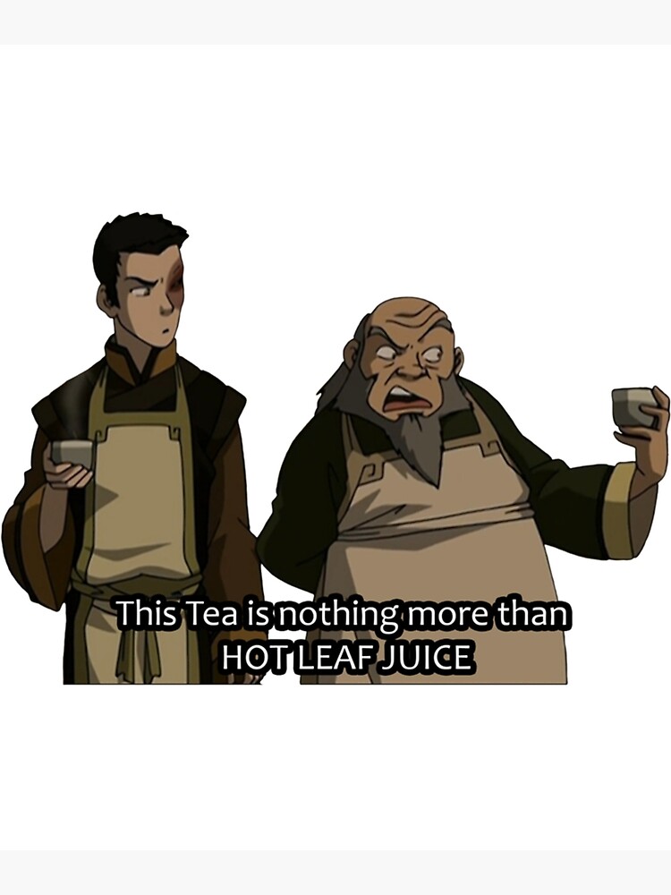 Hot Leaf Juice Zuko And Iroh Avatar Classic Poster For Sale By