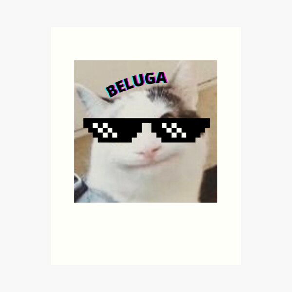 Beluga cat, Beluga Cat Meme, Meme Art Board Print for Sale by