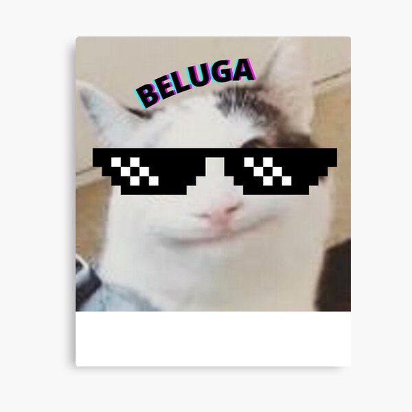 Beluga Cat Photographic Print for Sale by LUCKY DESIGNER