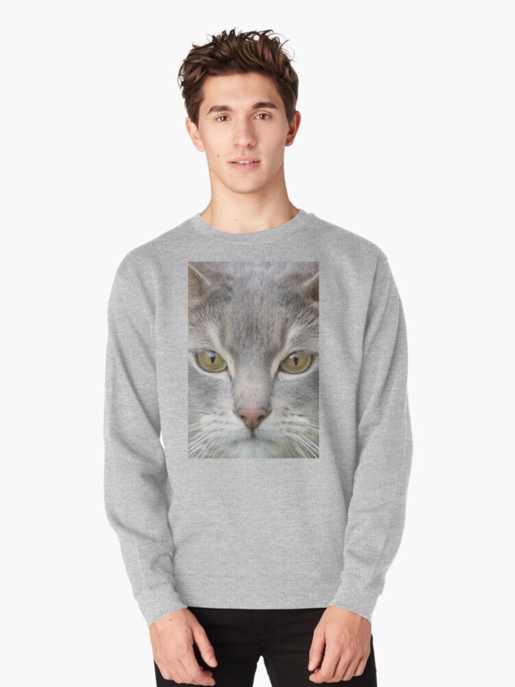 cat looking sweatshirt