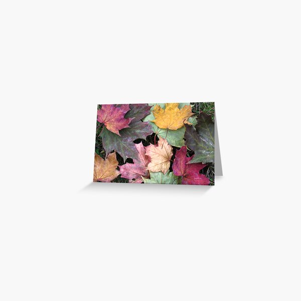 Autumn Leaves Greeting Card