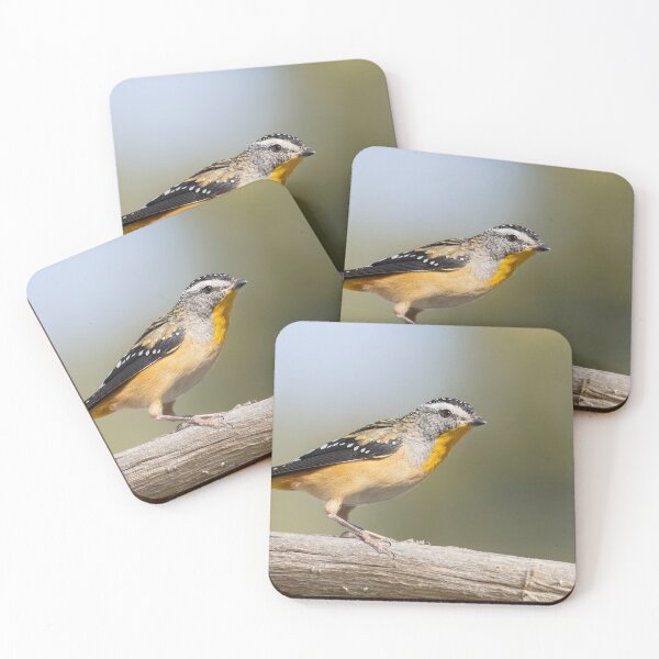 Item preview, Backyard Pardalote designed and sold by David  Hibberd.
