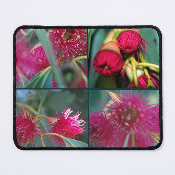 Item preview, gum trees W.A designed and sold by treborbob.