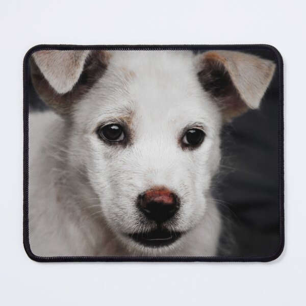 Item preview, Sad Puppy designed and sold by Fauxie Dao Jia.