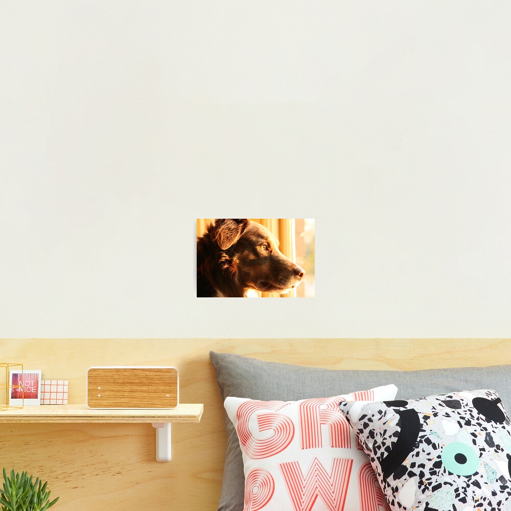 Item preview, Photographic Print designed and sold by Percy.