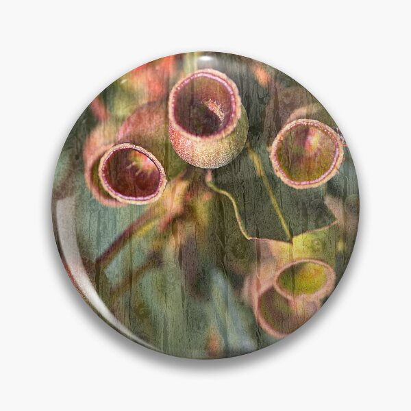 Item preview, The Wood Grained Gumnuts designed and sold by Joy Watson - Natural Light Photography .