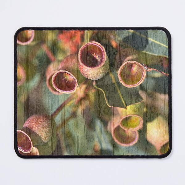 Item preview, The Wood Grained Gumnuts designed and sold by Joy Watson - Natural Light Photography .