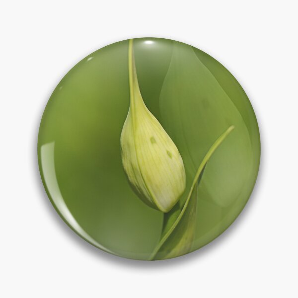 Item preview, Agapanthus Graceful Duet designed and sold by Joy Watson - Natural Light Photography .