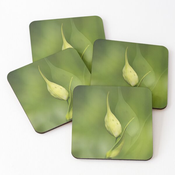 Item preview, Agapanthus Graceful Duet designed and sold by Joy Watson - Natural Light Photography .