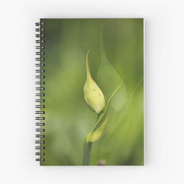 Item preview, Agapanthus Graceful Duet designed and sold by Joy Watson - Natural Light Photography .