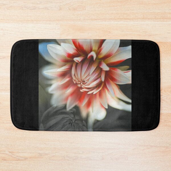 Item preview, The Tender Loving Dahlias designed and sold by Joy Watson - Natural Light Photography .