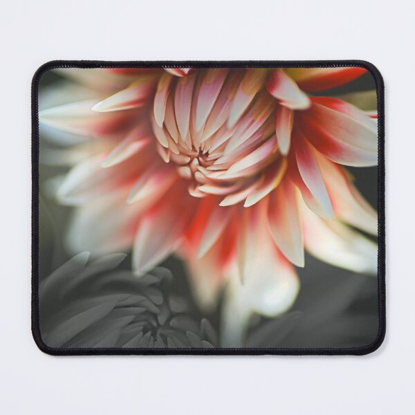 Item preview, The Tender Loving Dahlias designed and sold by Joy Watson - Natural Light Photography .