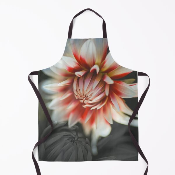 Item preview, The Tender Loving Dahlias designed and sold by Joy Watson - Natural Light Photography .