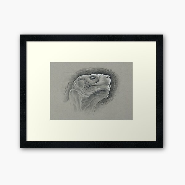 Galapagos Tortoise Framed Art Print