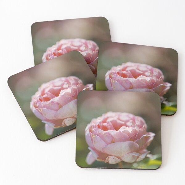 Item preview, The Pink Hue Gold Rose designed and sold by Joy Watson - Natural Light Photography .
