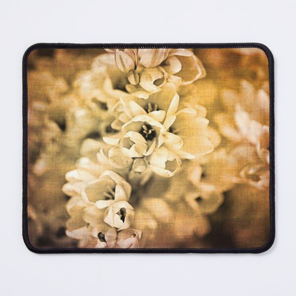 Item preview, So Rustic African Corn Lilies designed and sold by Joy Watson - Natural Light Photography .