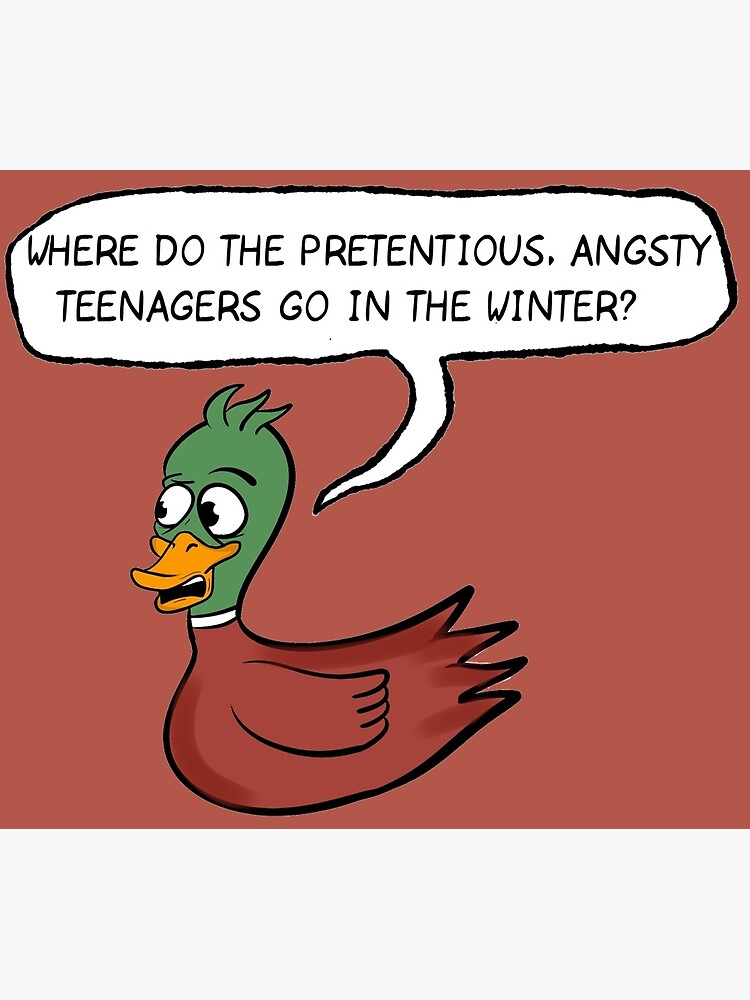 "The Catcher in the Rye Where do the ducks go?" Art Print by BaptismOnFire Redbubble