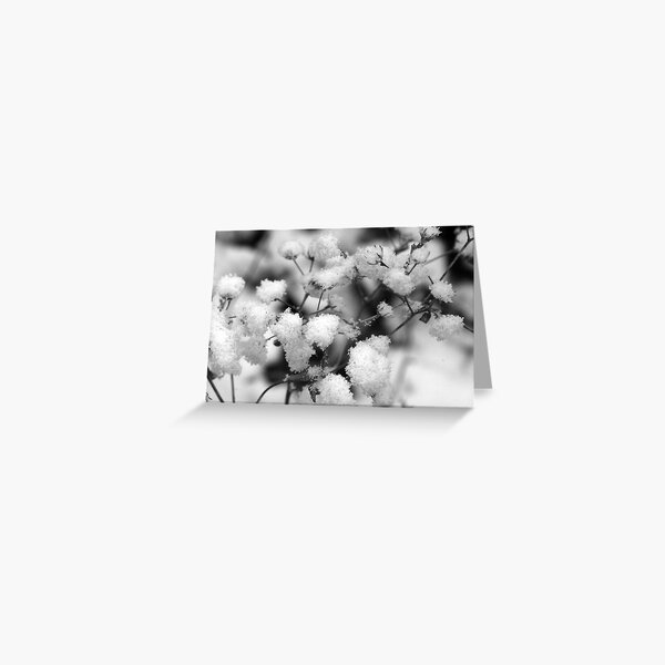 REDREAMING SNOWBALLS Greeting Card