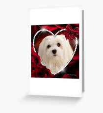 Snowdrop the Maltese - Sweet Valentine Greeting Card