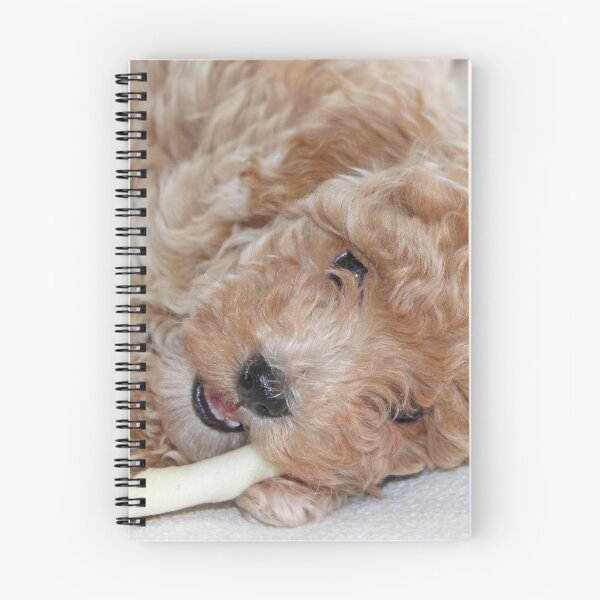 Item preview, Maltipoo Puppy designed and sold by Liz Lane.