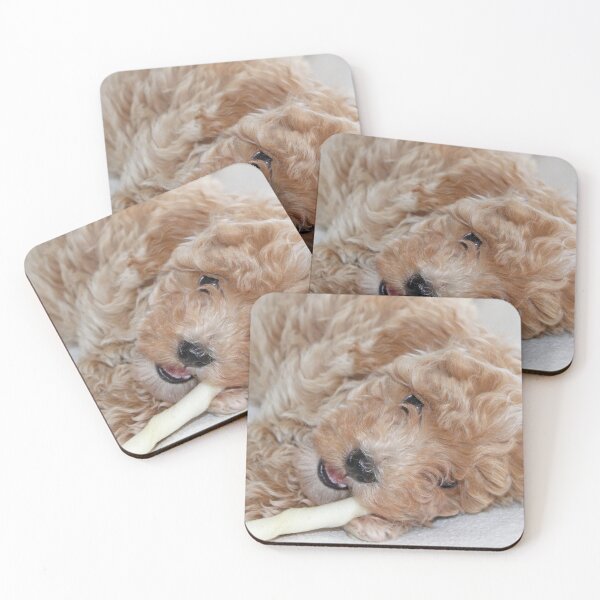 Item preview, Maltipoo Puppy designed and sold by Liz Lane.