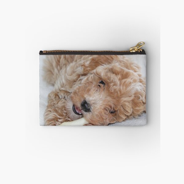 Item preview, Maltipoo Puppy designed and sold by Liz Lane.