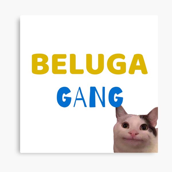 How to make a Beluga Discord Video 