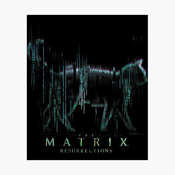 The Matrix Movie Code Logo 4 | Resurrections | 2021