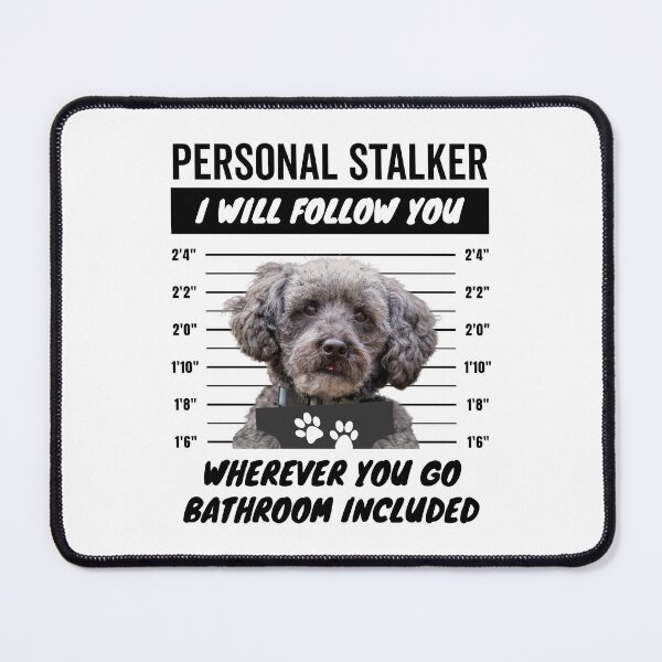 Item preview, Personal Stalker Dog – Schnoodle designed and sold by More Cute Dogs.
