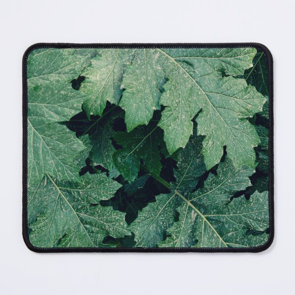 Item preview, Acanthus plant leaf tropical pattern designed and sold by CarolinaReina.