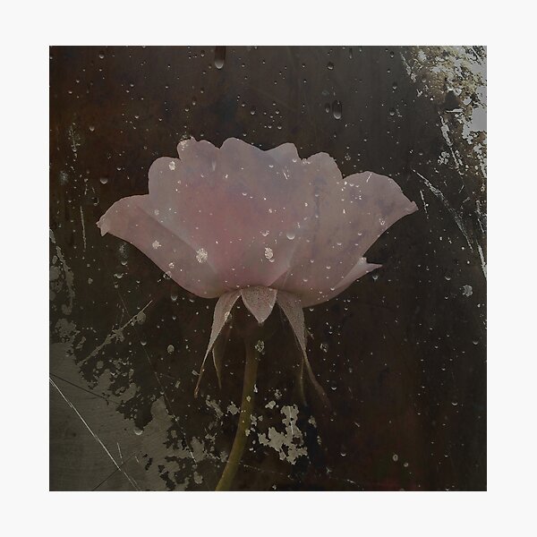 Item preview, Dusky designed and sold by Rosalie Dale.