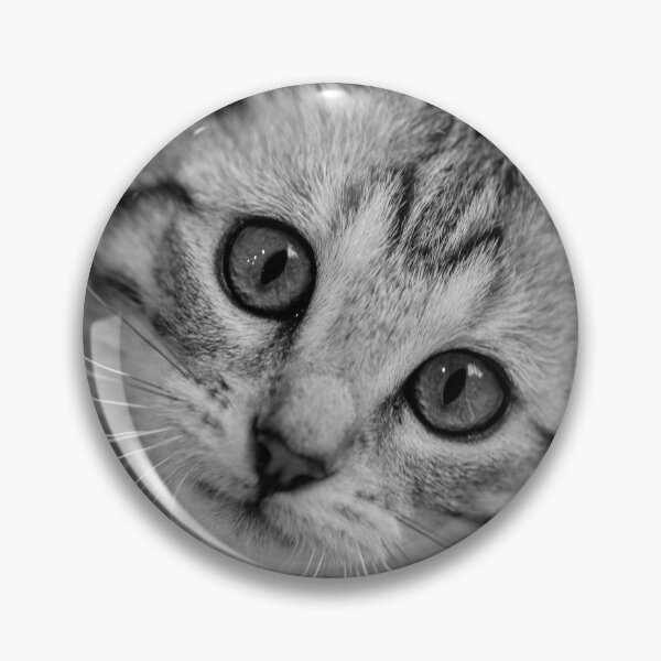 Item preview, Beautiful Cat with big eyes designed and sold by ea-photos.