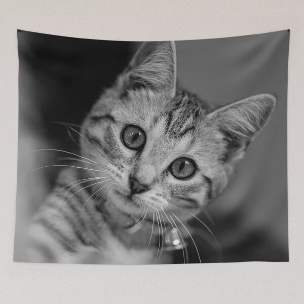 Item preview, Beautiful Cat with big eyes designed and sold by ea-photos.