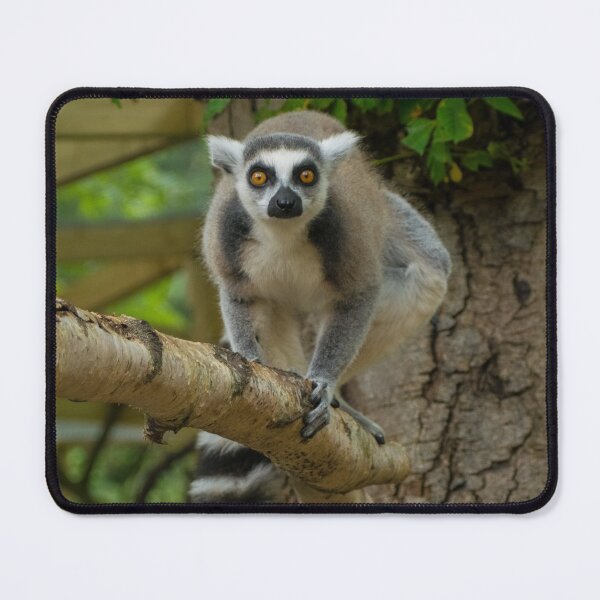 Item preview, Ringtailed Lemur designed and sold by Adaptive Boneyard.