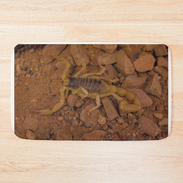 Item preview, Desert Hairy Scorpion designed and sold by Adaptive Boneyard.