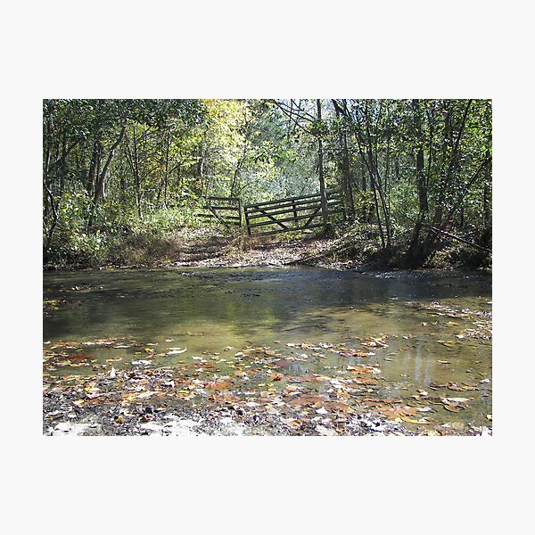 Item preview, Across the Creek designed and sold by budrfli.
