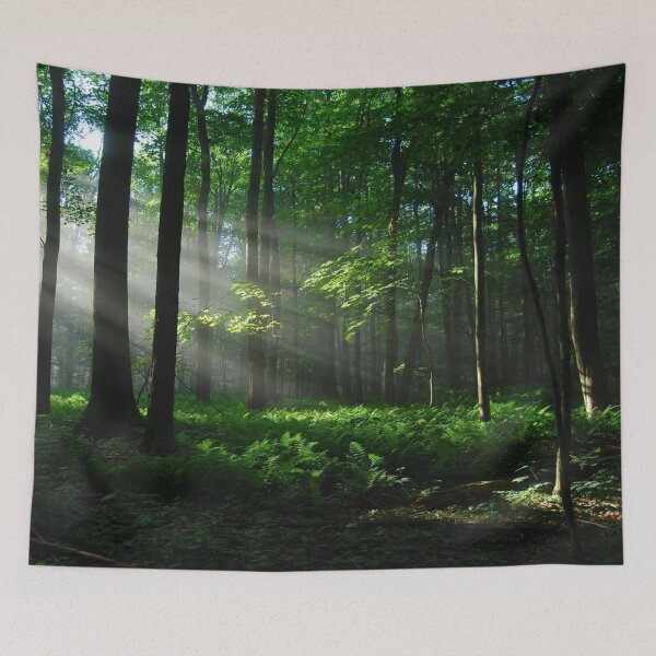 Item preview, Lighted Forest designed and sold by syfyfx.