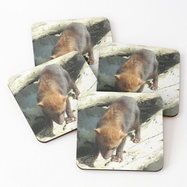 Item preview, Bush Dog designed and sold by Martina Nicolls.