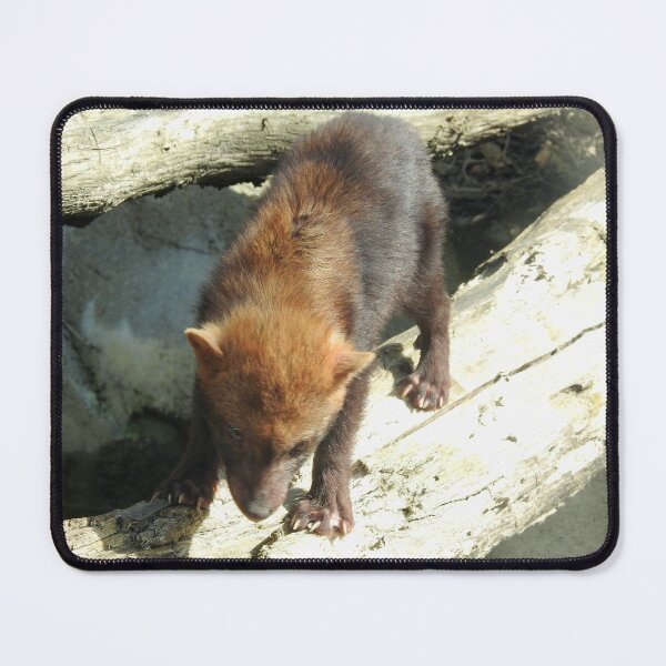 Item preview, Bush Dog designed and sold by Martina Nicolls.
